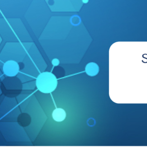 2025 SAR Key Terms QRG Product Photo