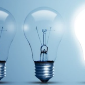 InSights Q2 2024 e1715878215107