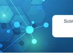 SAR Narrative QRG Pic e1712852125468